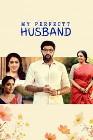 My Perfectt Husband (2024) Hindi Season 1 Complete