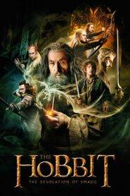 The Hobbit 2 : The Desolation of Smaug (2013) Hindi Dubbed