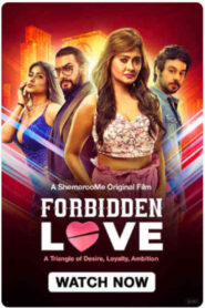 Love Forbidden Love (2024) Hindi HD